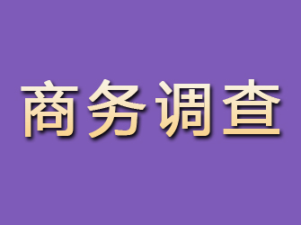 青云谱商务调查